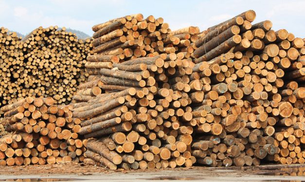 Forest and wood products industry strong as ever