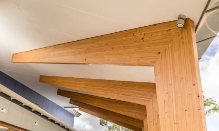 Timber transforms Maryborough icon