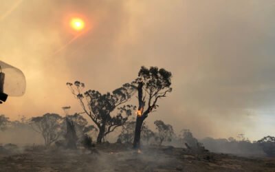 Climate-Driven Fires
